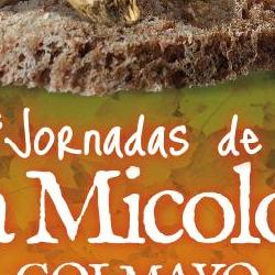 II Jornadas de la Tapa Micologica.JPG