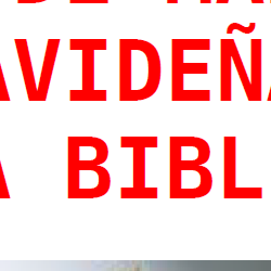 Portada.png